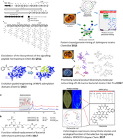 graphical-abstracts-publication-list.png