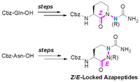 Research_heterocycles2.png