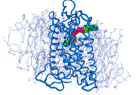 Abb5